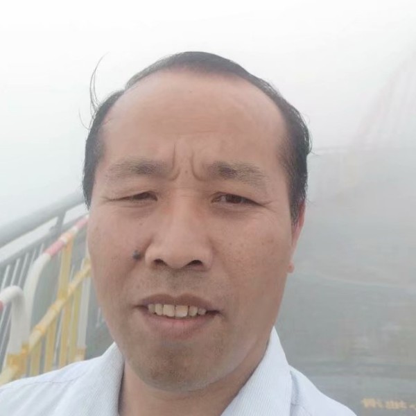 飞鸟打俏皮的照片