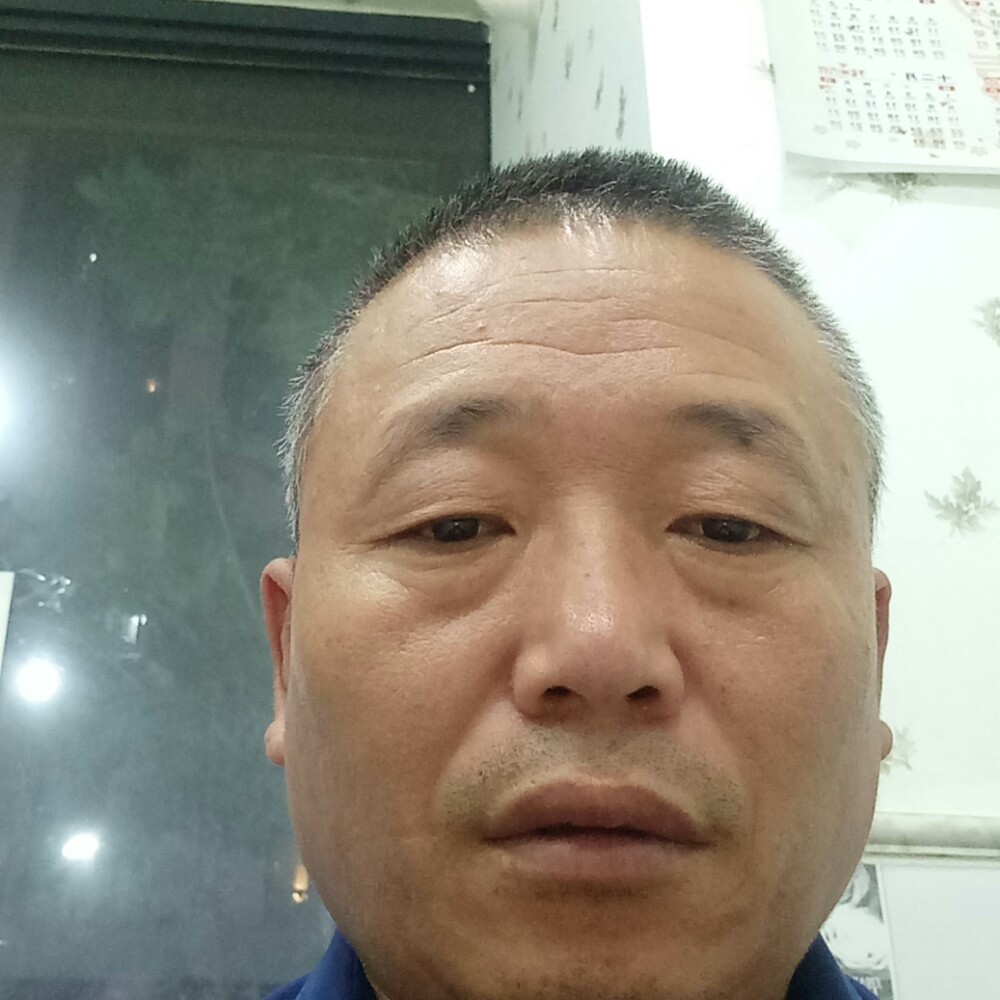 踏实愿白猫的照片