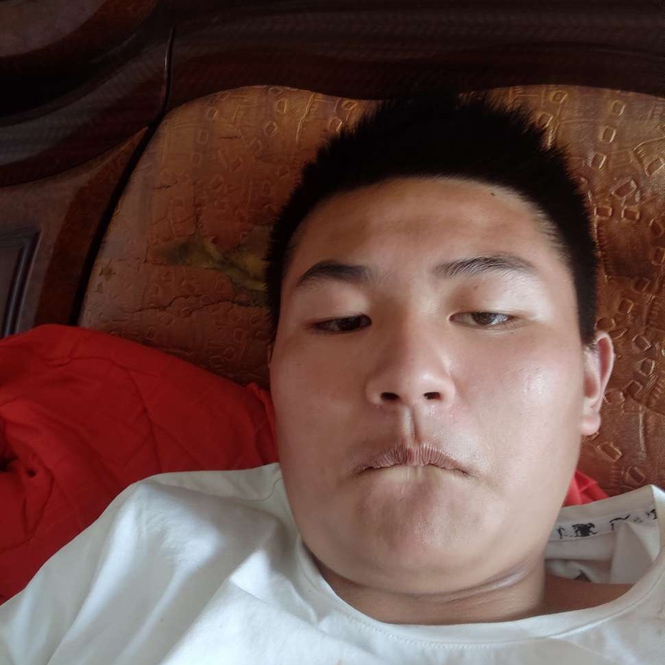 唯一的等于森槿的照片