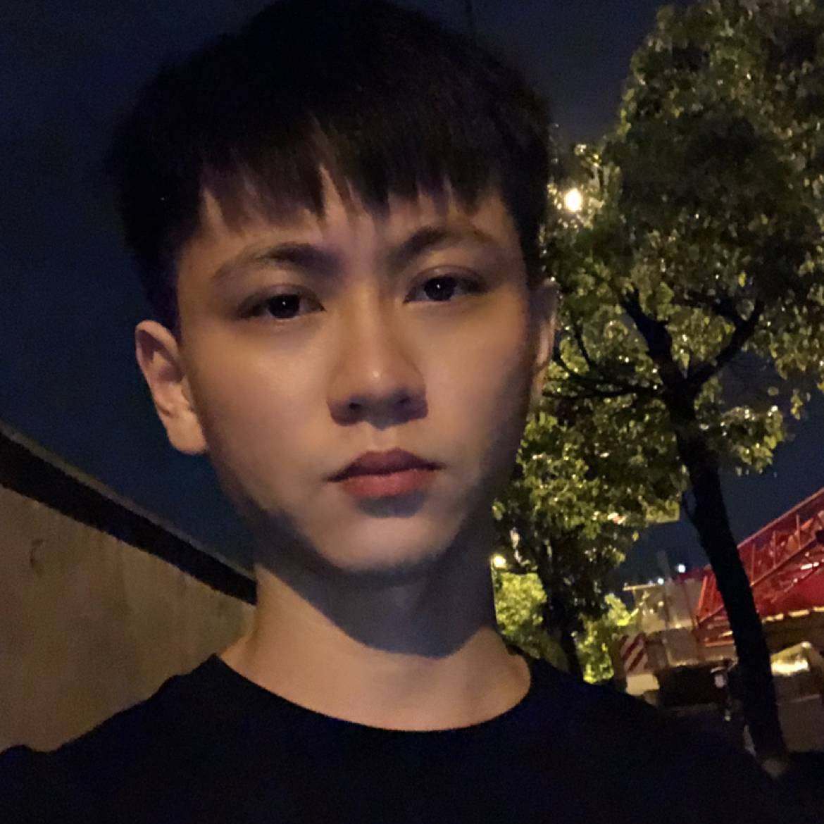 柠檬的照片