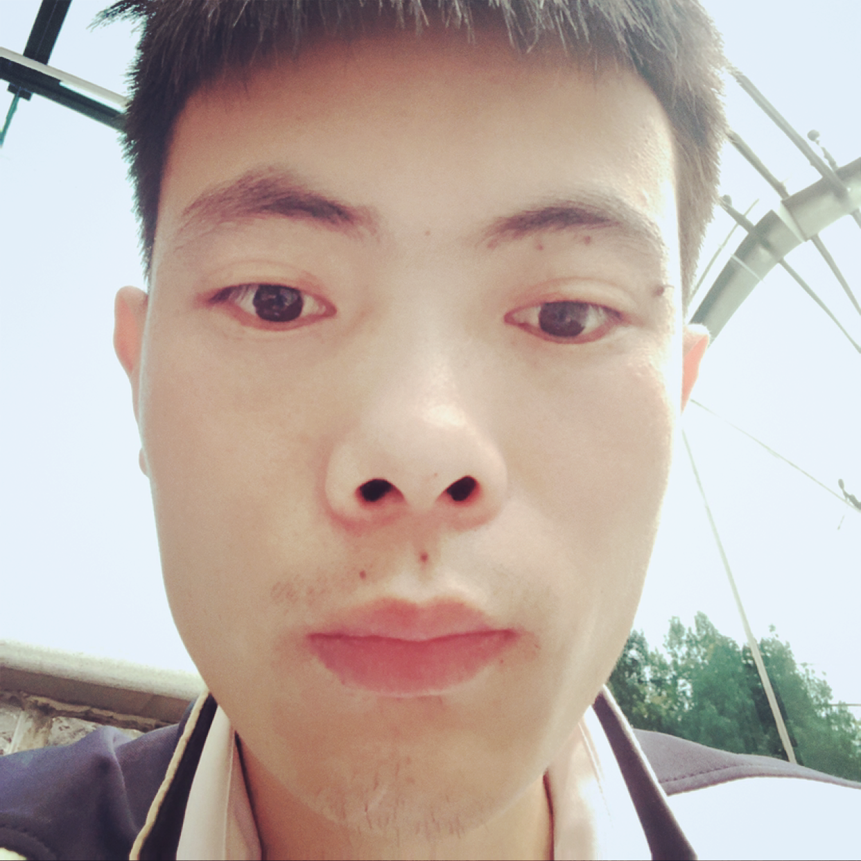 蜗牛骑驴看世界的照片