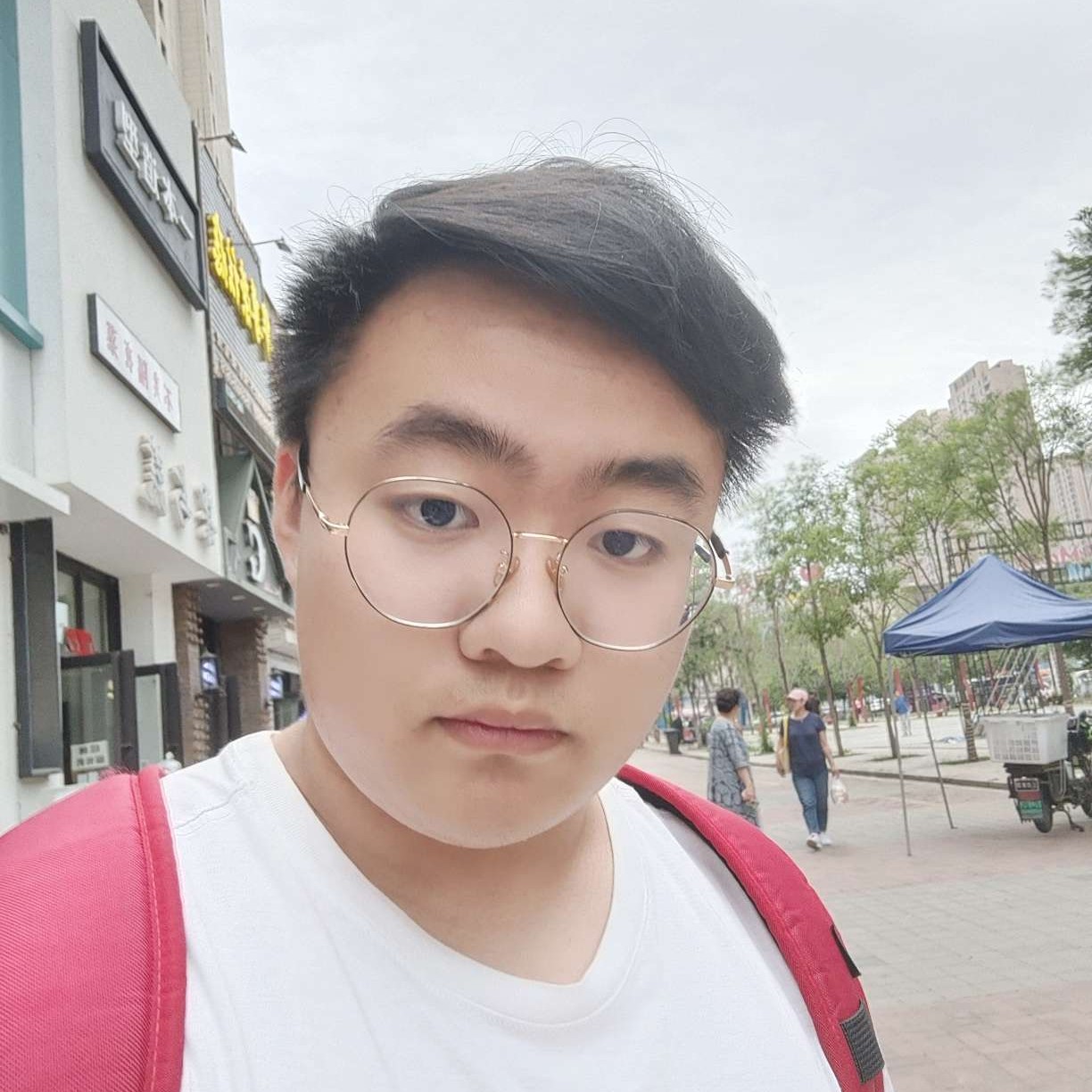 陶醉漫步热狗的照片