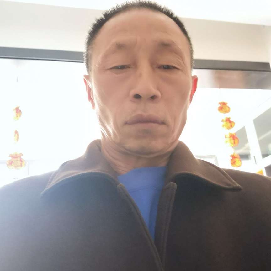 大树整齐的照片