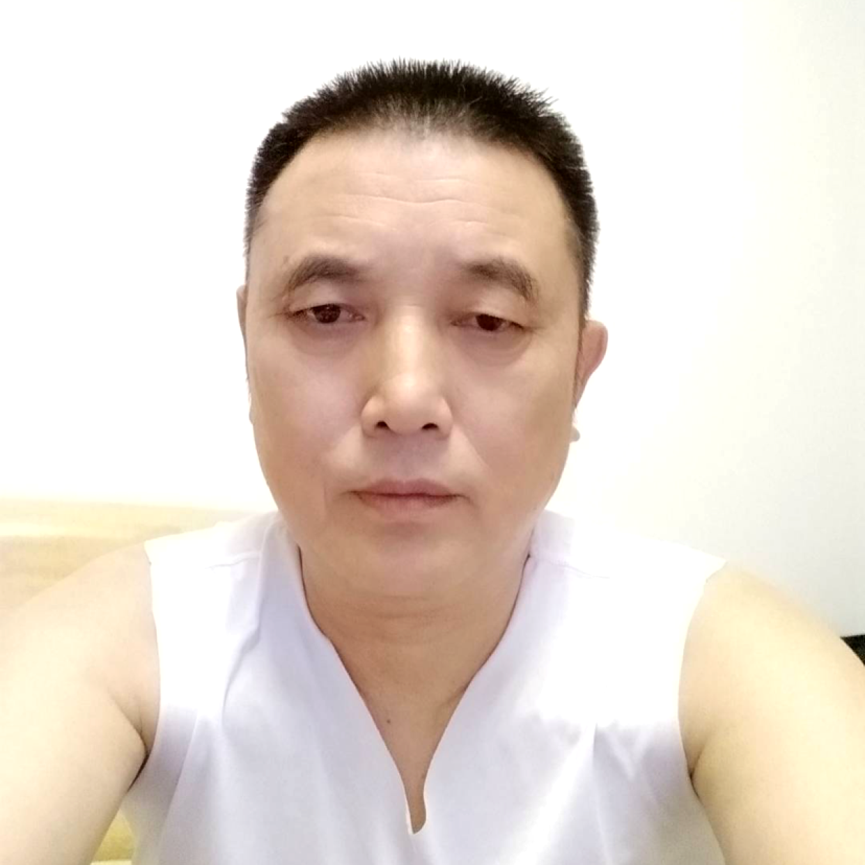 大象说阳光的照片