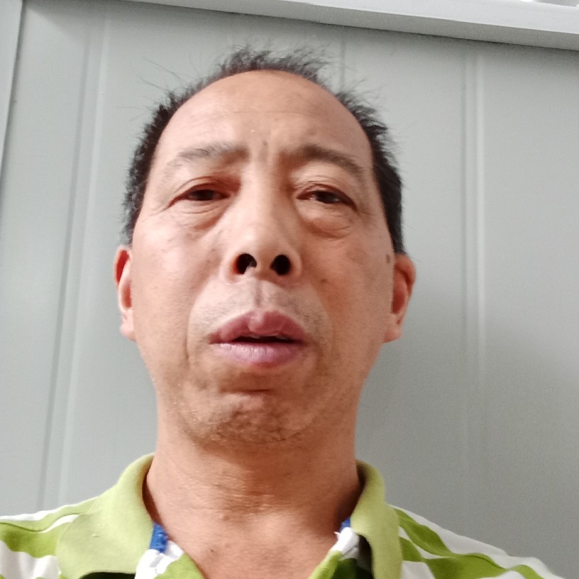 风中用向日葵的照片