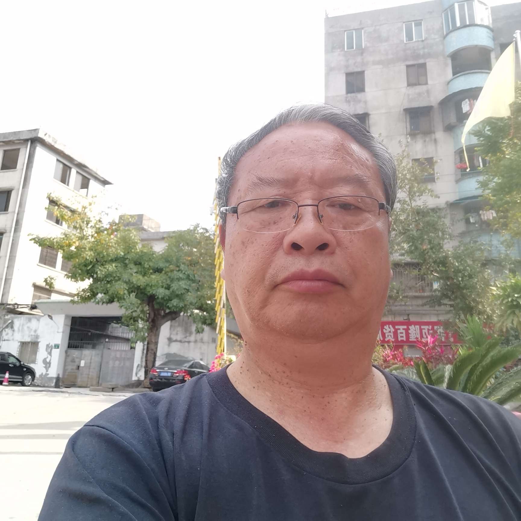 好像是的的照片