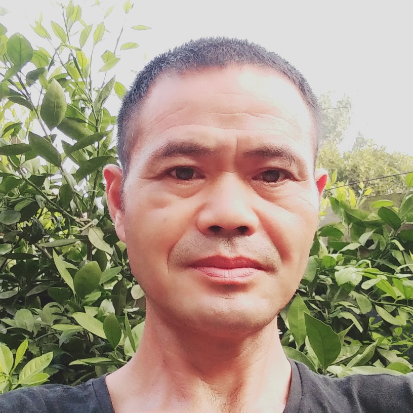 勤劳請流岚的照片