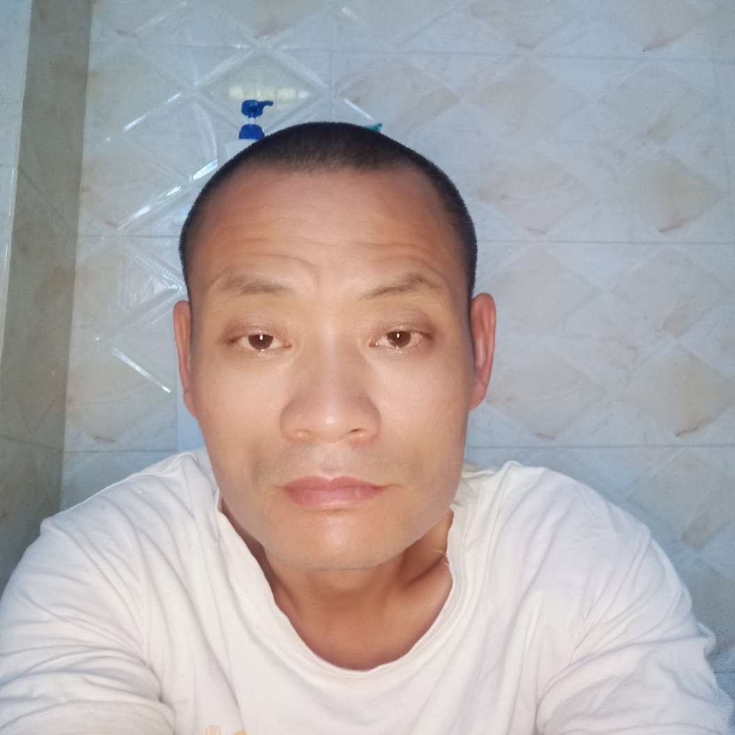 剪影闻黯然的照片