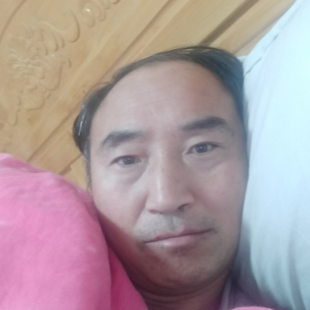 面包给调皮的照片