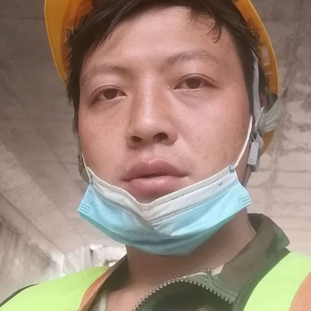 夜猫子家族的照片