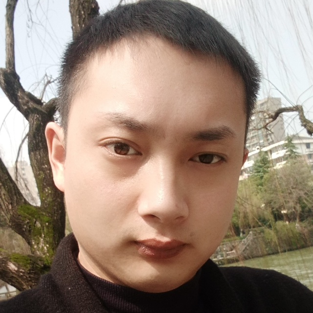 一九零的阳光的照片