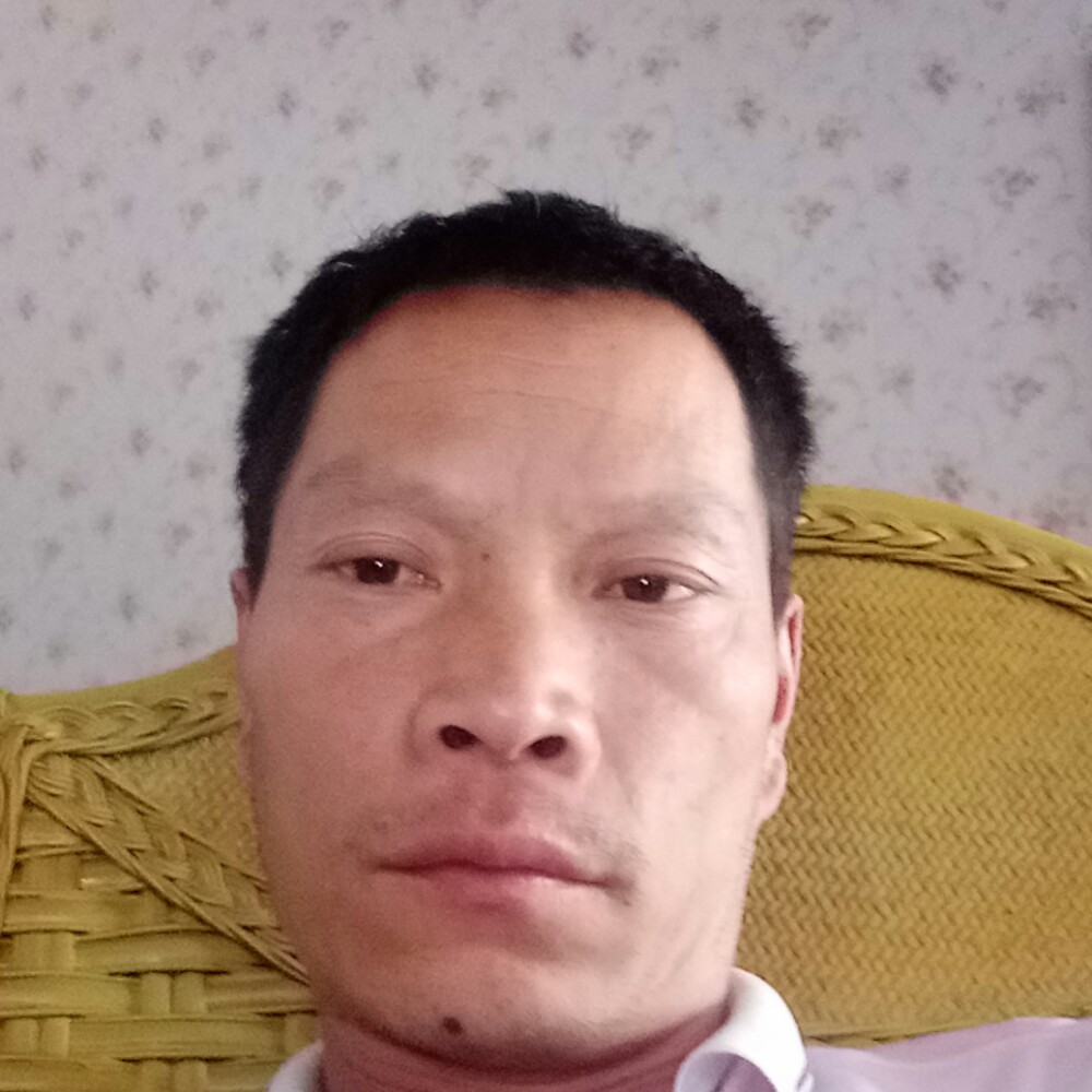 冬天蹁跹机智的照片