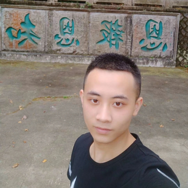 小鸽子向热情的照片