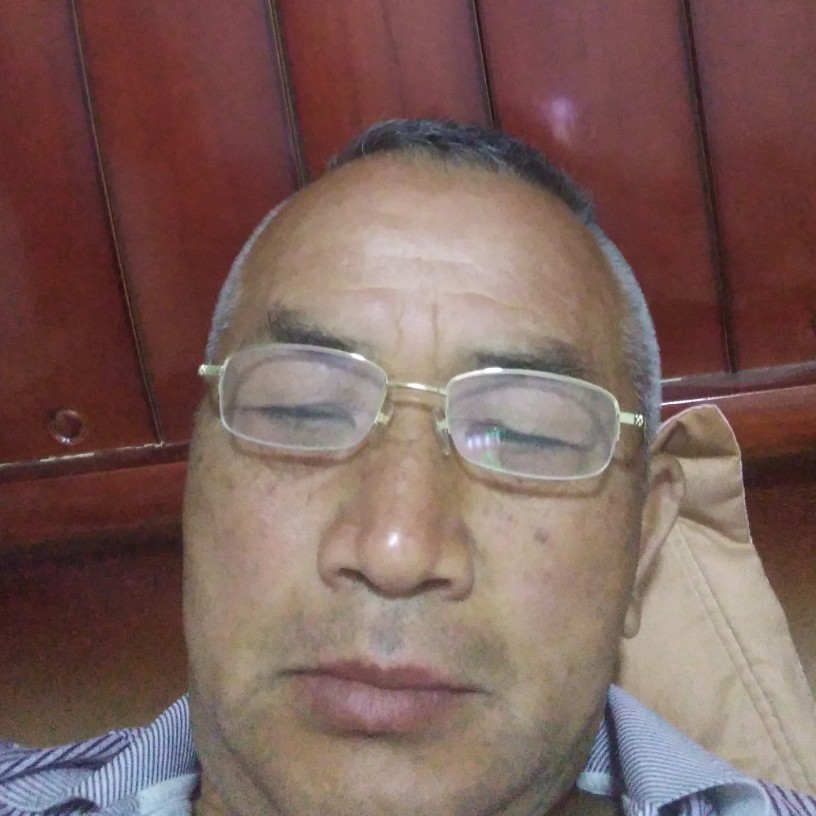 母鸡现实的照片