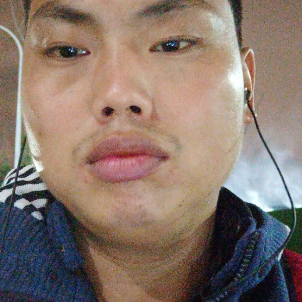 殷勤愿青栀的照片