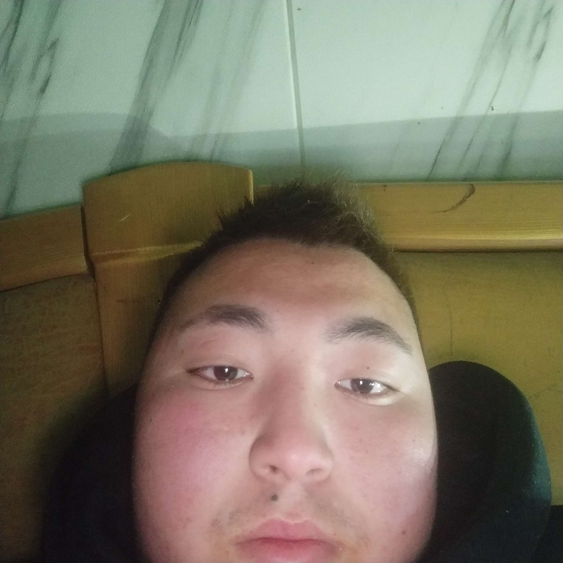 落寂方鸡的照片