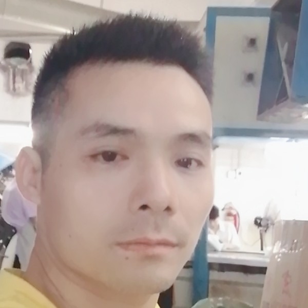 绚烂苦恋刺猬的照片