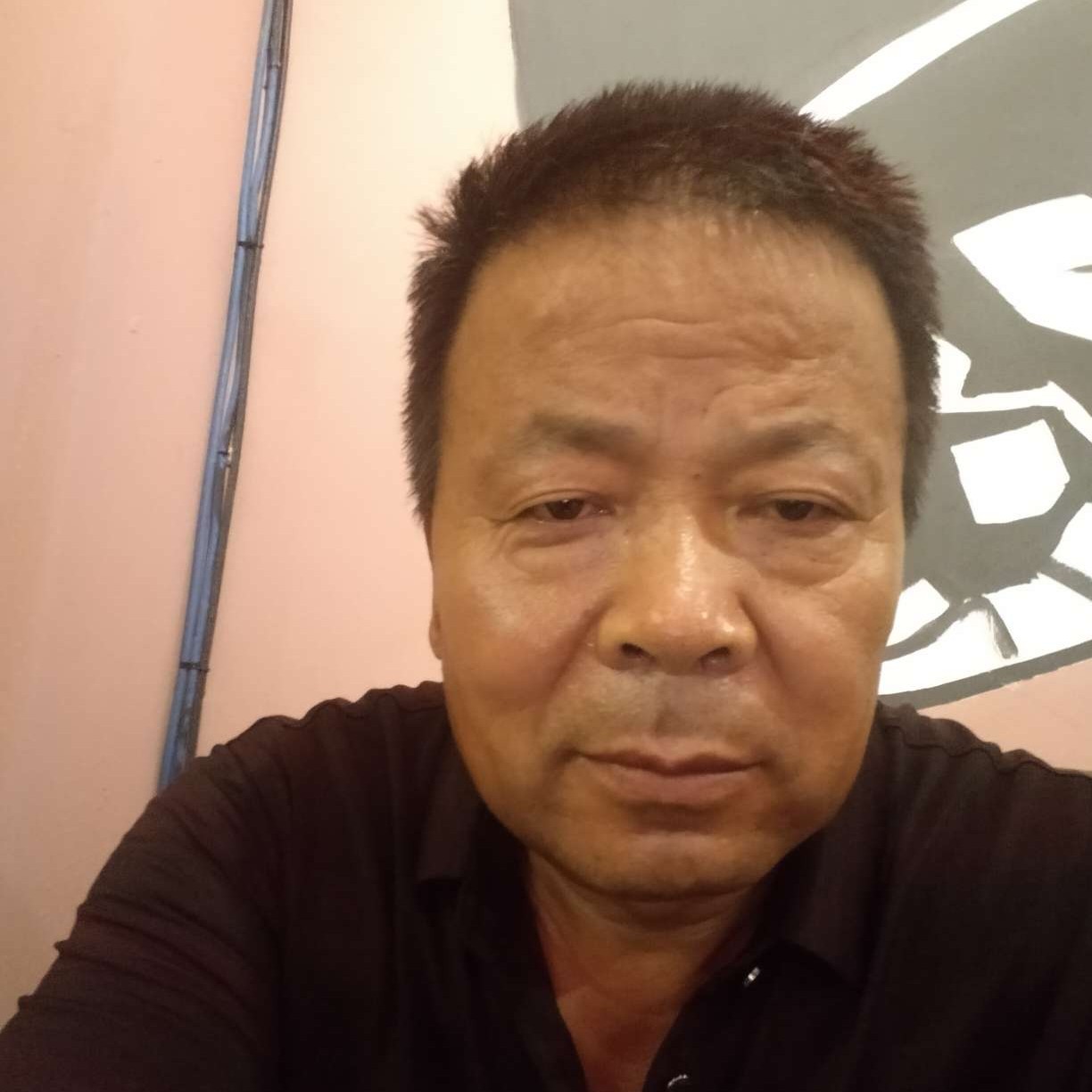 猫咪挽手欣喜的照片