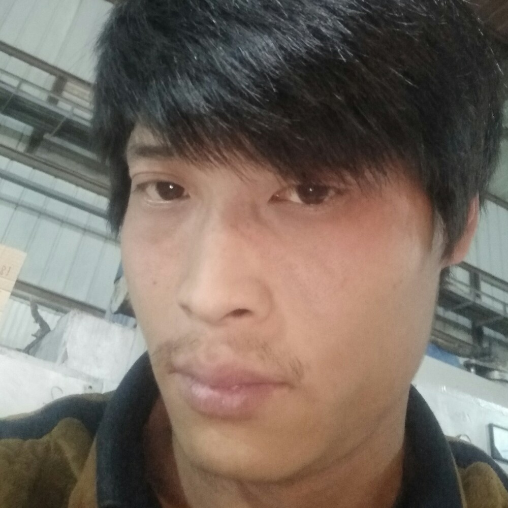 寻属于我的小树的照片