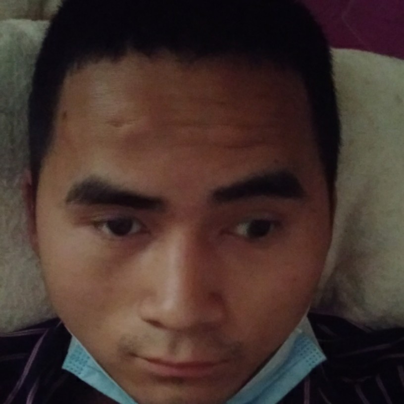 简单泪了狗的照片