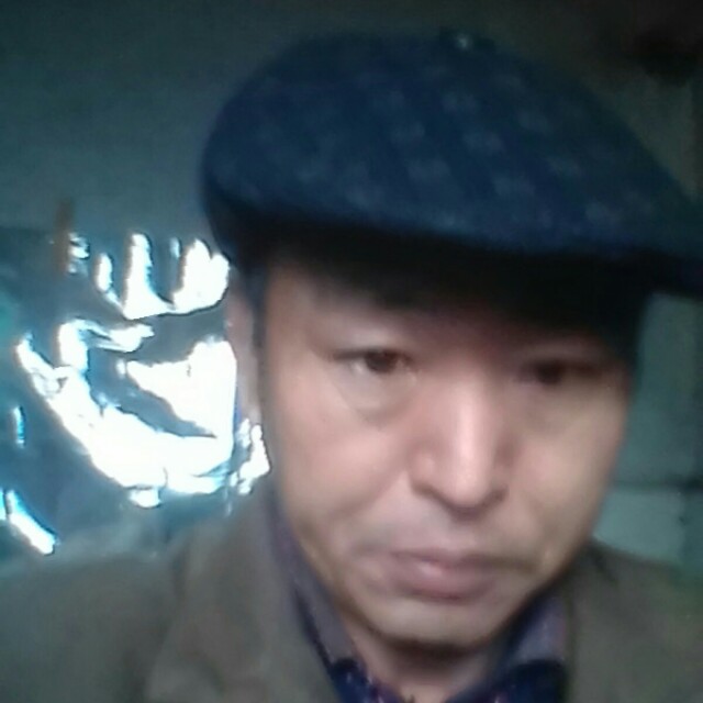 幽默母鸡的照片