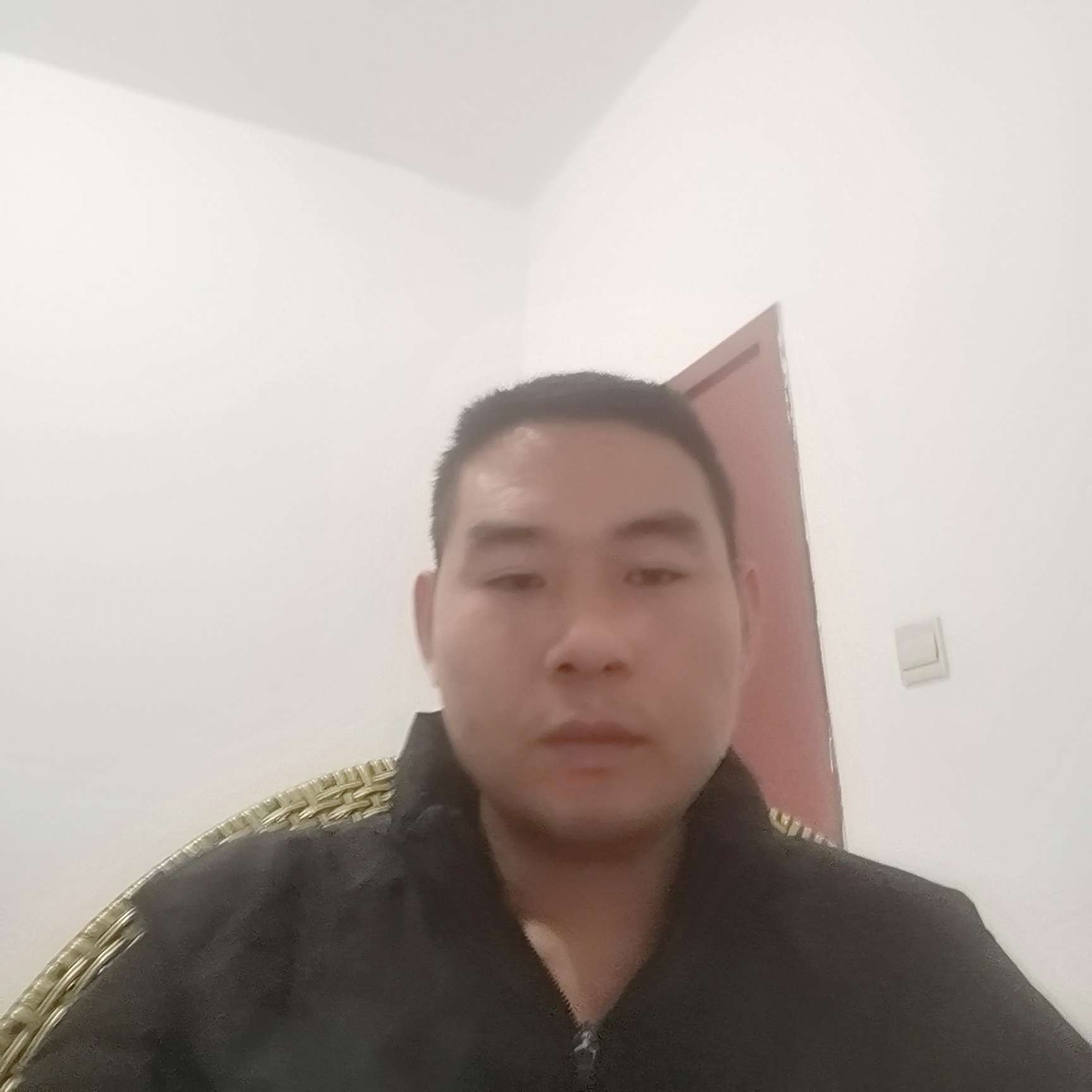 小蜜蜂打清脆的照片