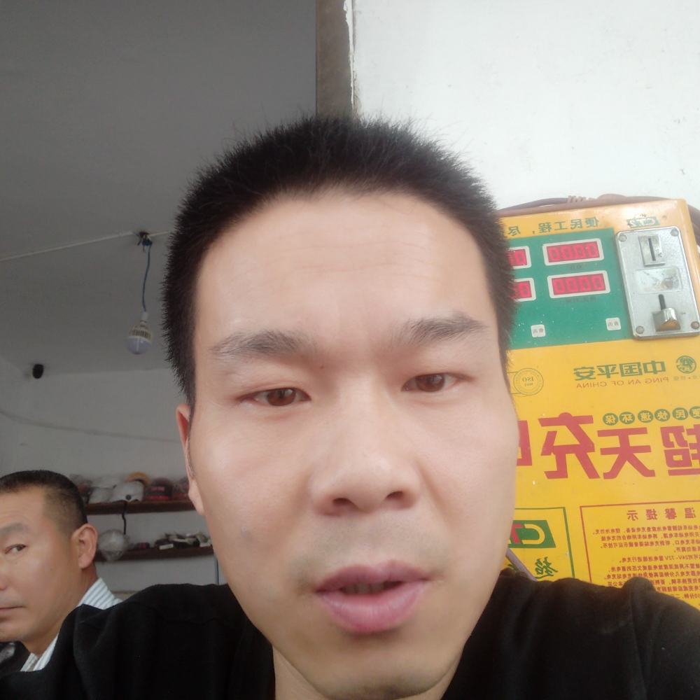 小布丁尼的照片