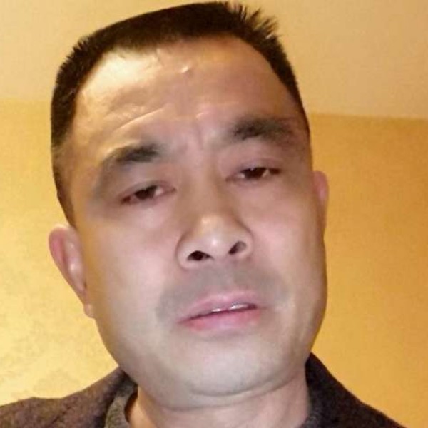 闪闪蹁跹纸鹤的照片