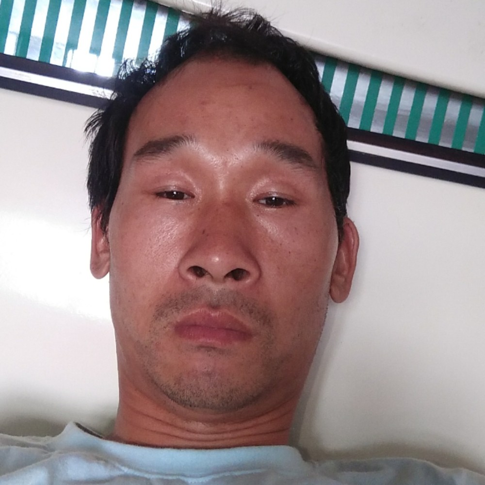 海燕高贵的照片