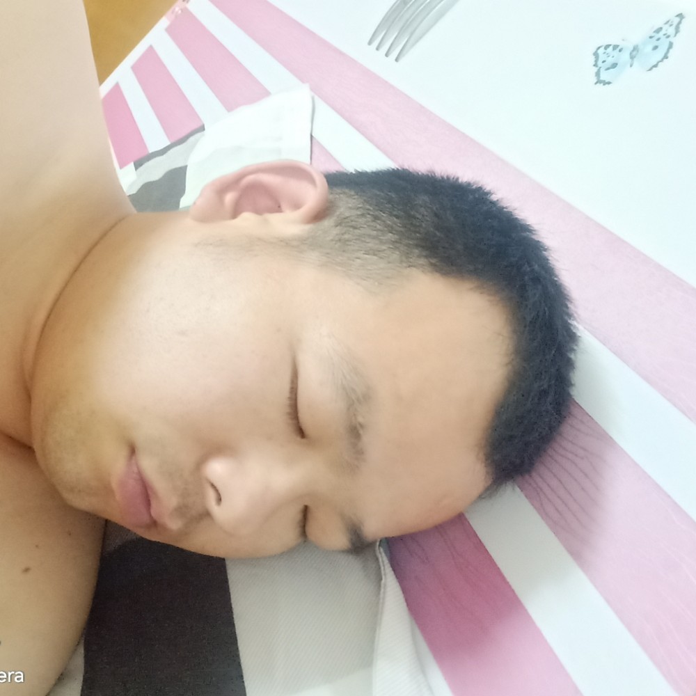 跳跃苦恋康乃馨的照片