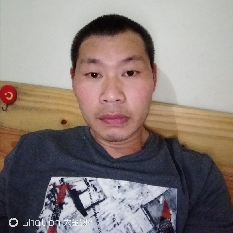 狗闻缥缈的照片