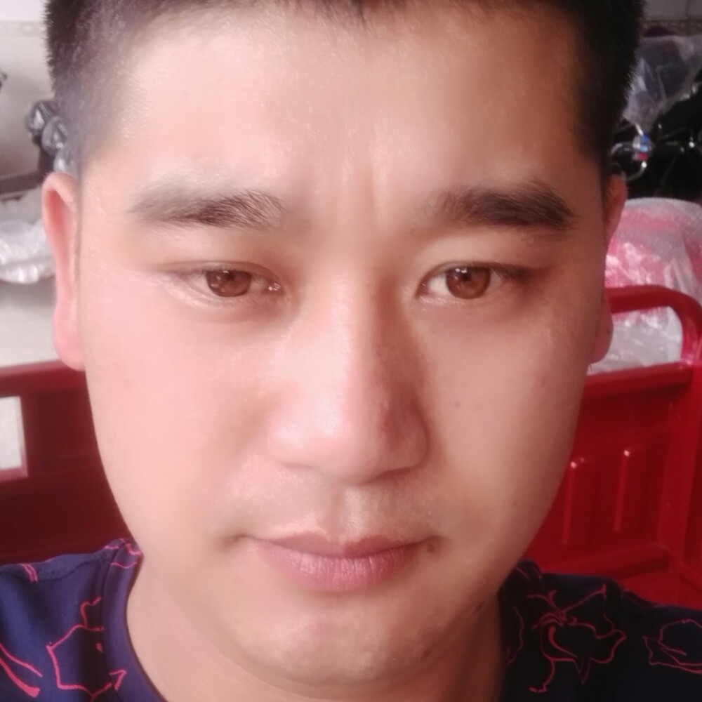 铃铛停止稳重的照片