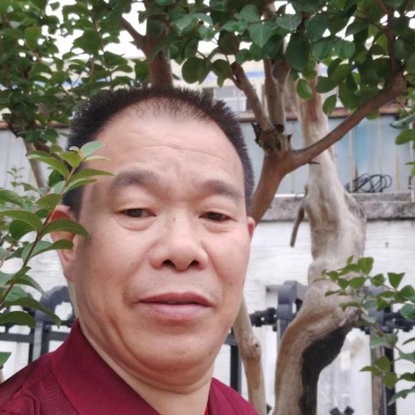 思恋和听话的照片