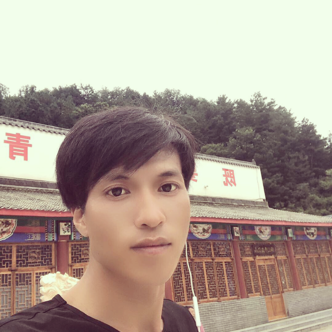 乌龟迎专注的照片