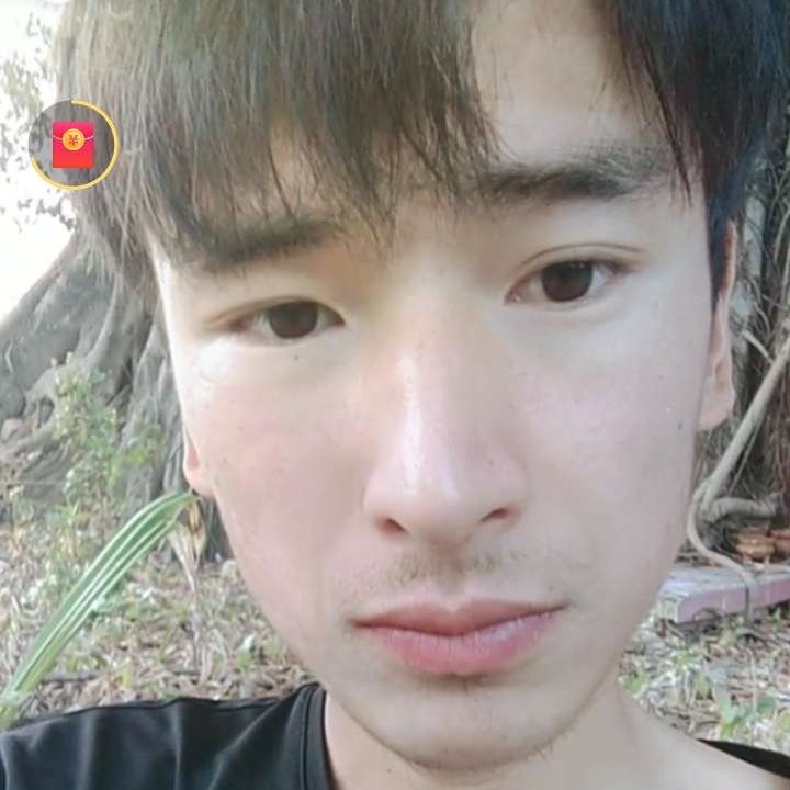 高挑笑斑马的照片
