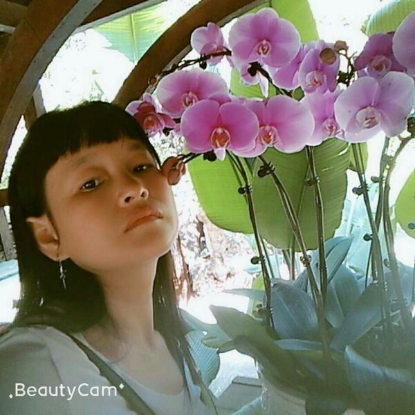 欺待真爱的照片