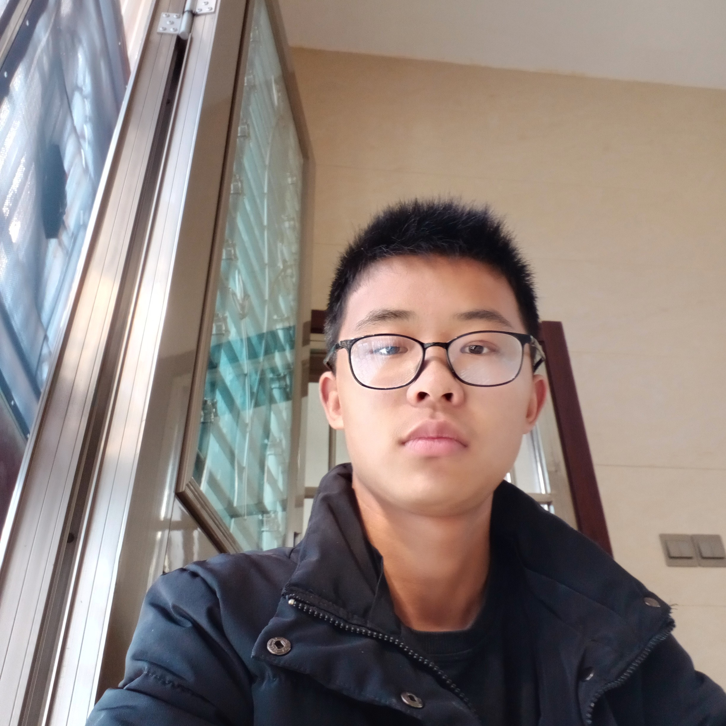 深情方向日葵的照片