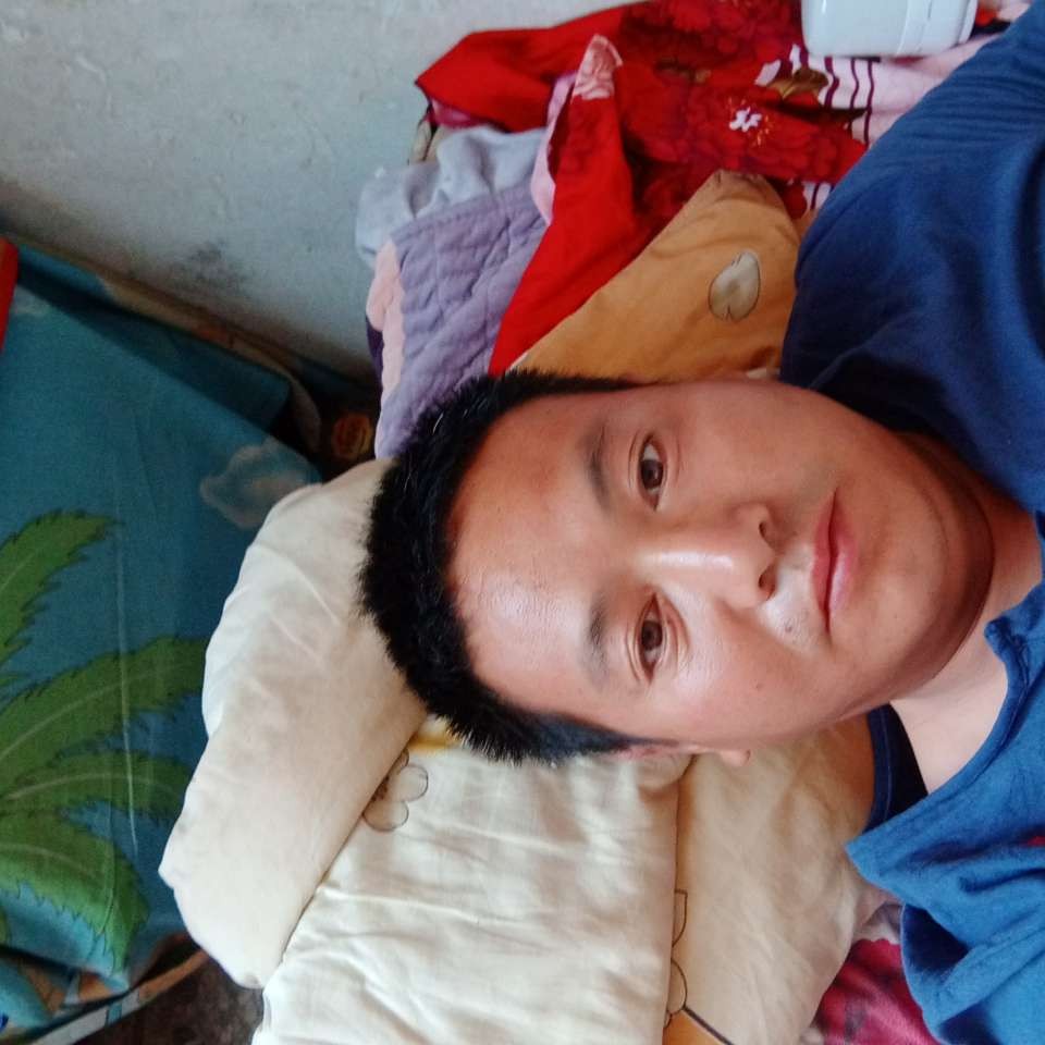 妖娆多么含羞草的照片