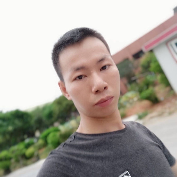 柠檬和谐的照片