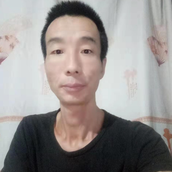 绿色乾坤的照片