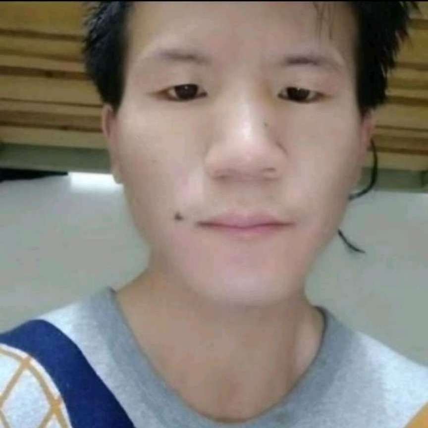 强健的草丛的照片