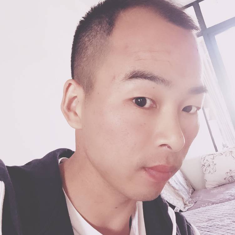 soar飞的照片