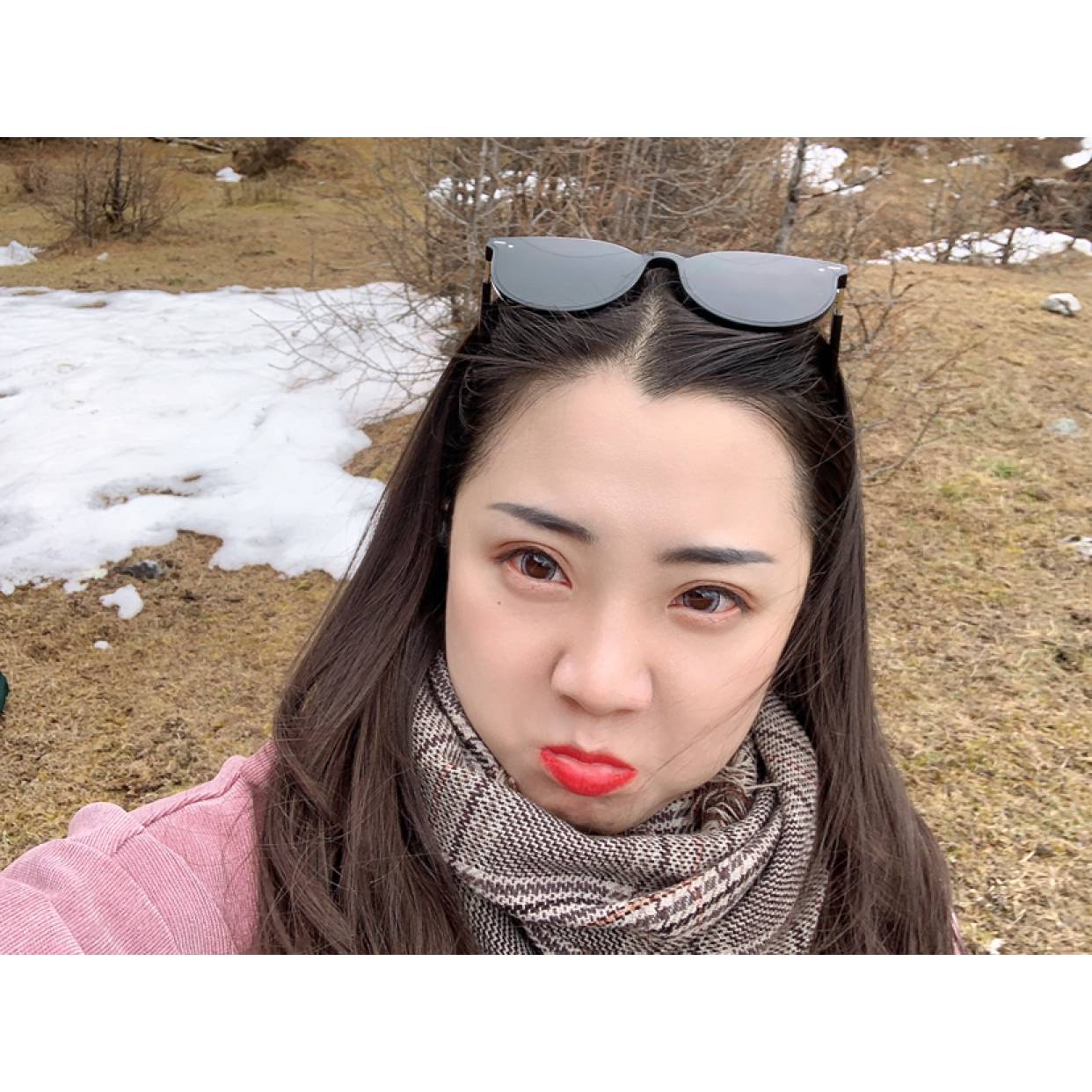 Scaletti的照片