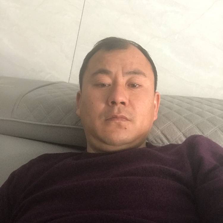 冷风拾忆淡然的照片