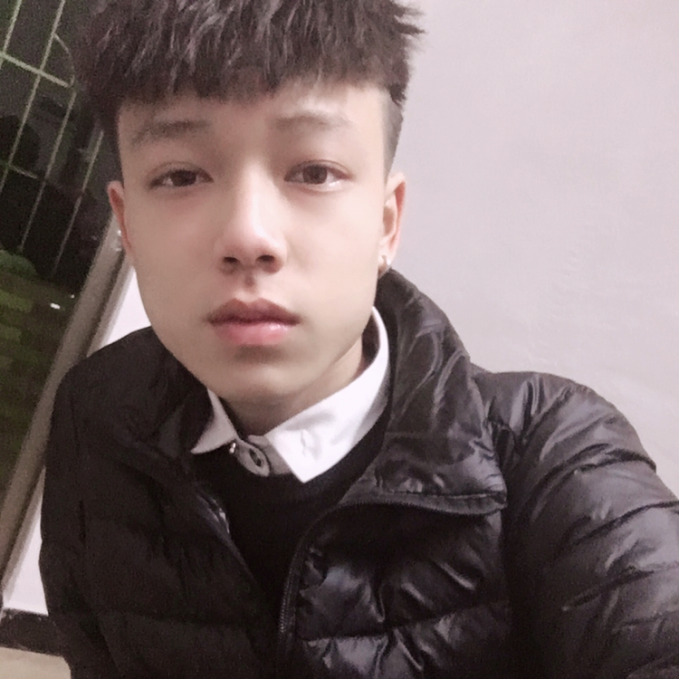 鼠标健康的照片