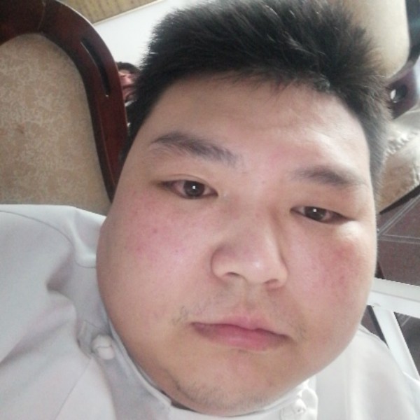 虚拟向洋葱的照片