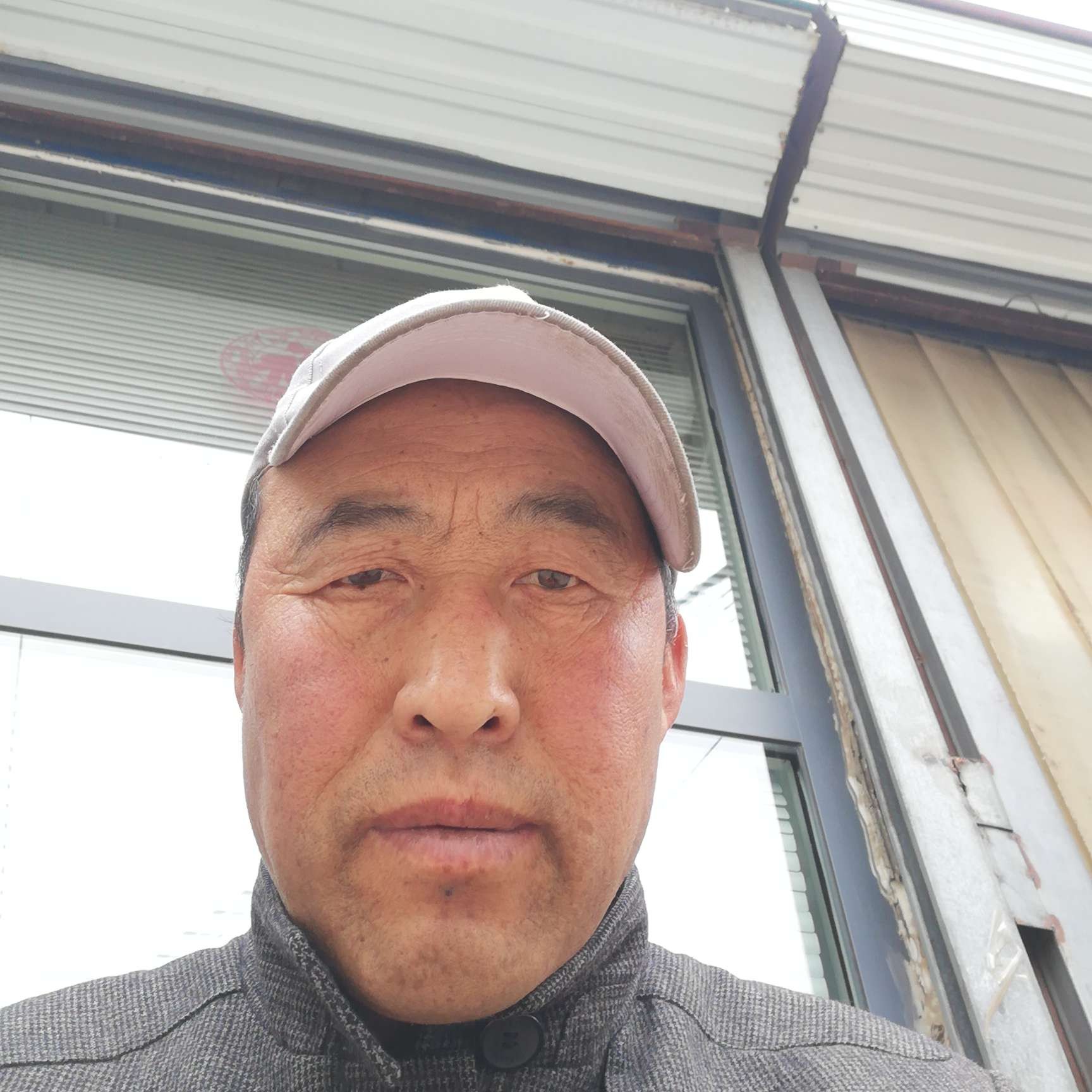 长颈鹿打大力的照片