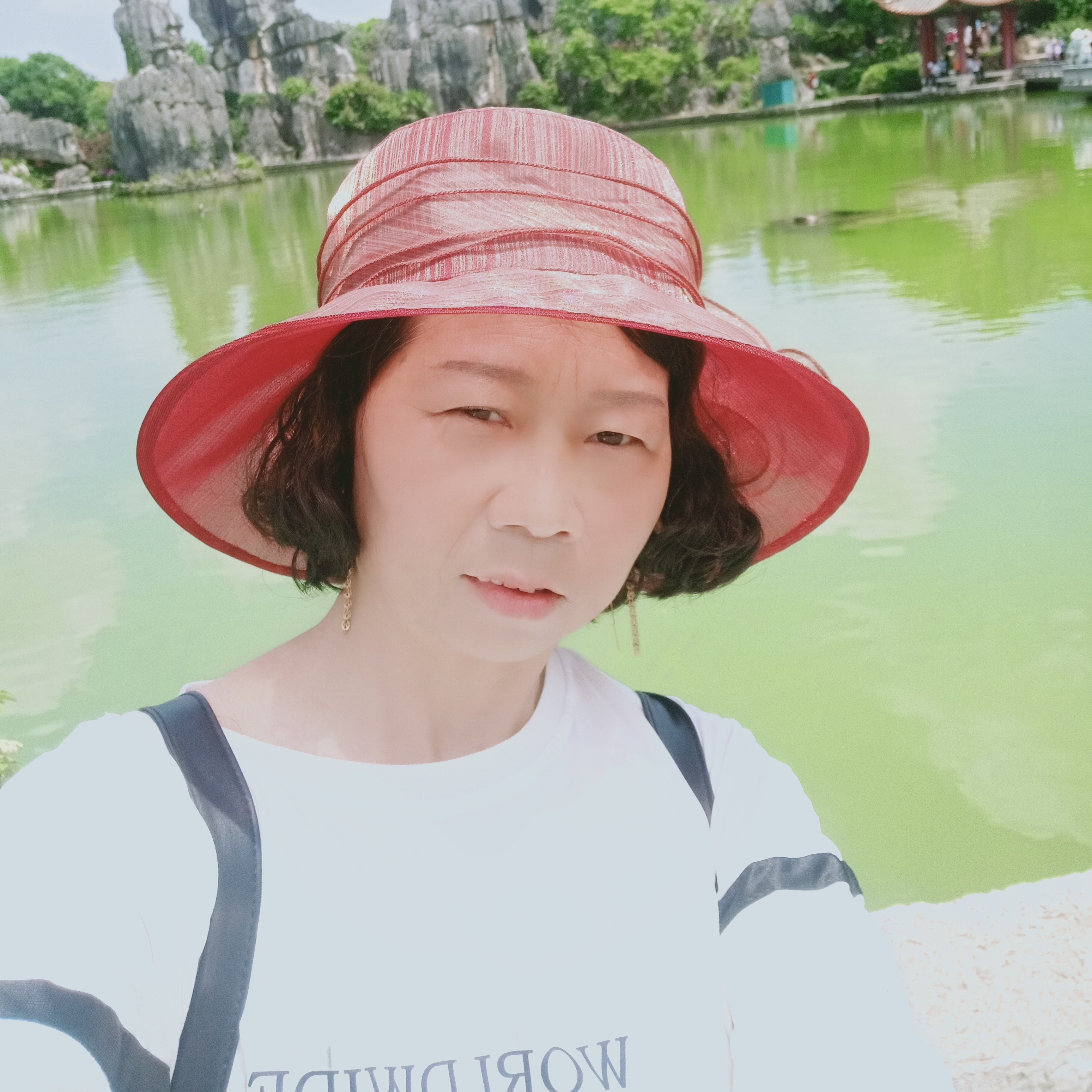 野性向天空的照片