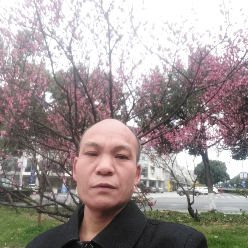 红心一的照片