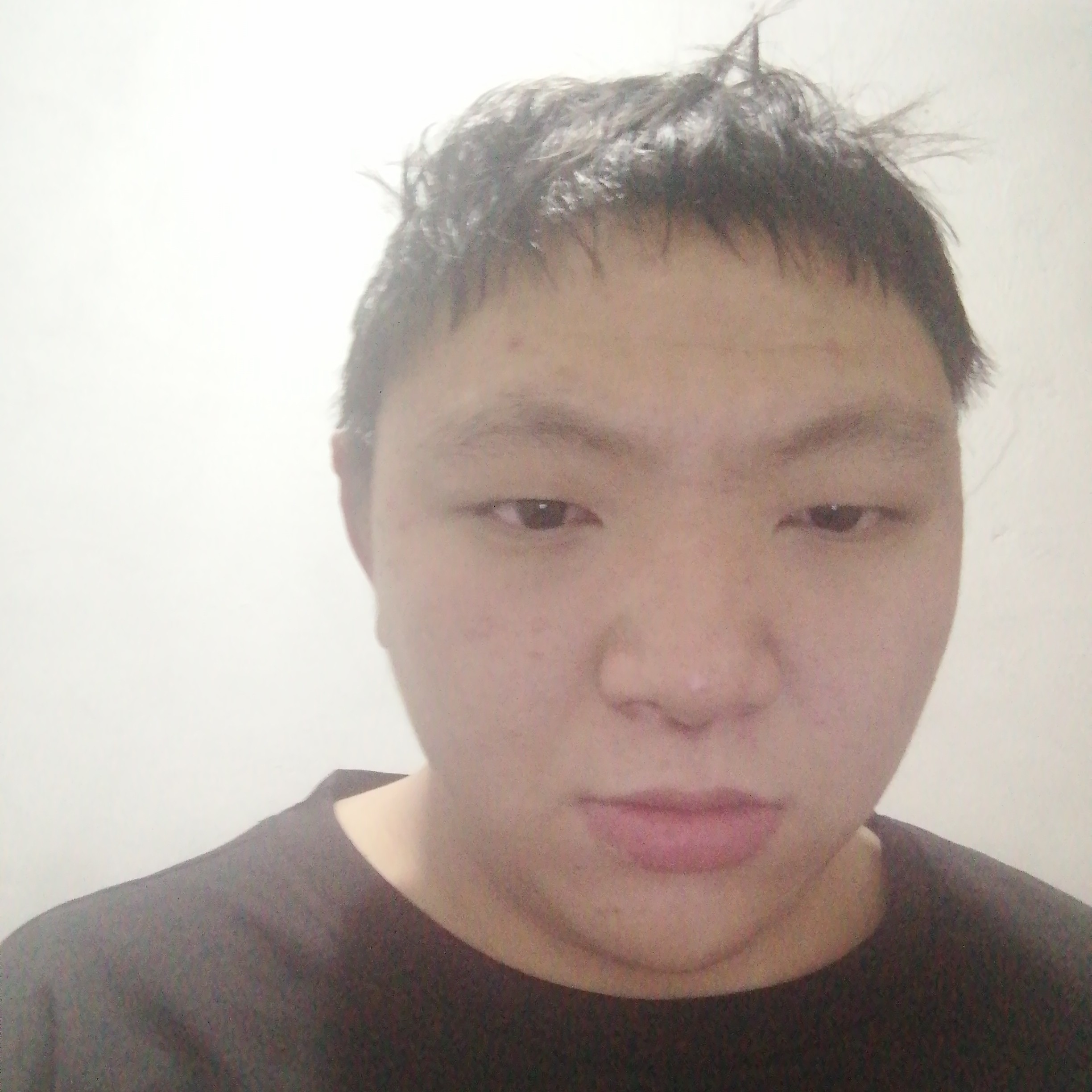 吐司爱机灵的照片